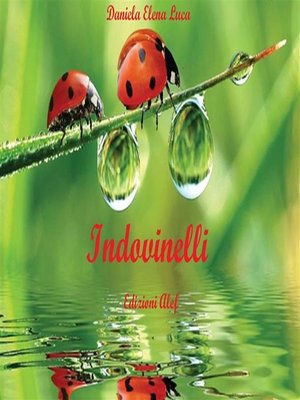 cover image of Il piccolo libro degli indovinelli
